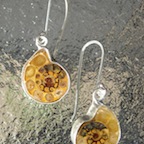 vpeamon-sold