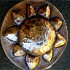Sunflower-nfs