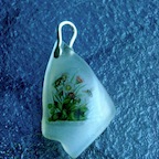 DSCN0010.JPG