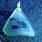DSCN0012.JPG