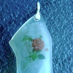 DSCN0015.JPG
