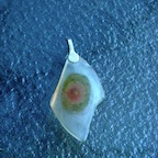DSCN0017.JPG