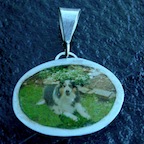 DSCN0028.JPG