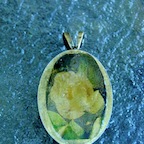 DSCN3053.JPG