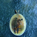 DSCN3057.JPG
