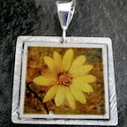 17c-citsf5-$60