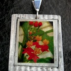 17c-citsf2-$60