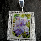 17c-citsf3-$57