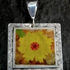 17c-citsf4-$59