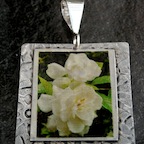17c-citsf1-$59
