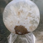 Dendrite Agate